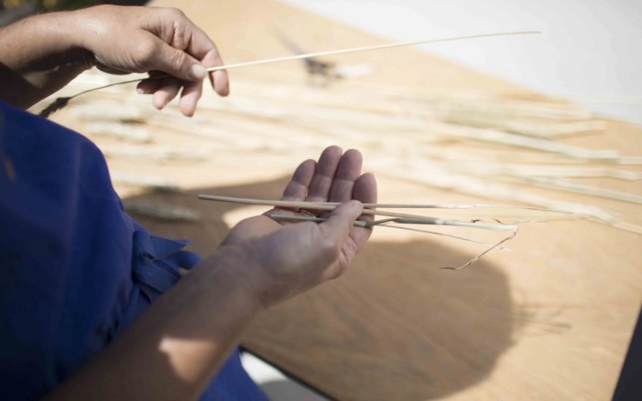 Bild2 Strohherz_MathildeWieserarminhuber_2017 16_800x533.jpg